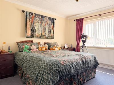 Picture 19